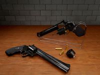 Colt Anaconda .44 Magnum