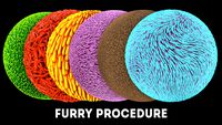 Furry Procedure