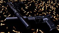 P22 Project Files - Asset