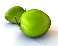 Coconut green 3D Model