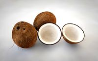 Coconut Inner 3D Model