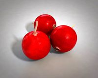 Cranberry 3D Model