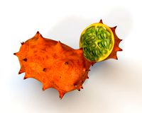 Kiwano 3D Model