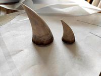 Xiao Pauldron Spikes | 3D