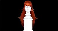 Female long hair