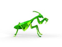Polygonal Praying Mantis