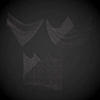 Fishing Net - Intact and Damaged