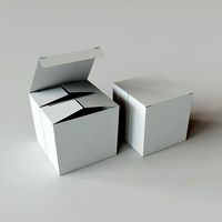 DOUBLE FOLDED BOX - Package 3D model