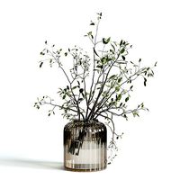 Branches plant with galss vase white