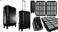 Rolling Travel Suitcase With Money