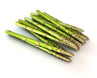 Asparagus 3D Model