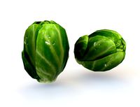 Brussels Sprouts 3D Model
