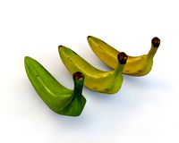 Plantain 3 types 3D Model