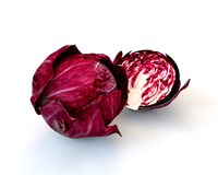 Radicchio Rounded 3D Model