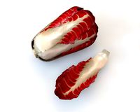 Radicchio Taller 3D Model
