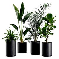 Indoor Plants Pack 27