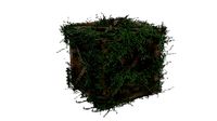 Moss Crate