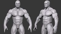 Muscular Male Basemesh