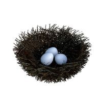 Nest 3D Model
