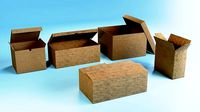 Cardboard
