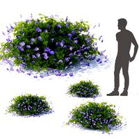 Geranium hybride Rozanne