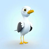 Seagull