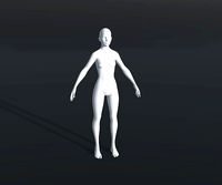 Female Body Base Mesh 28 Animations 3D Model 20k Polygons