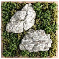 Vertical Rock Garden vol 138
