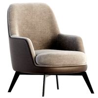 Flexform GUSCIO Armchair
