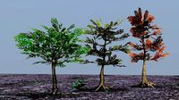 Trees and plants