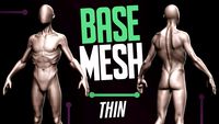 Basemesh Thin Male