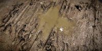 Mud puddl