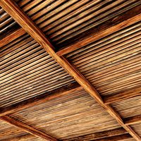 Ceiling straight thin branch n6