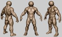 BigBody_veryVeryBig