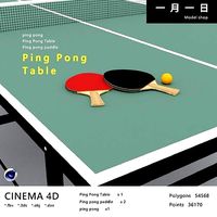 Ping Pong Table