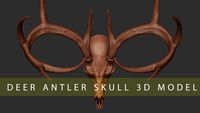DEER ANTLER SKULL 3D MODEL