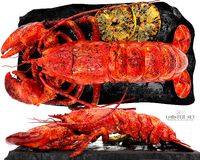 lobster set