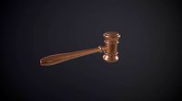 Judge Hammer