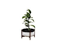 A wooden frame supports a flowerpot