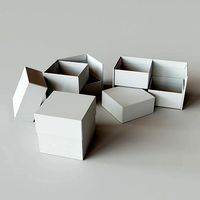 TIER BOX - Package 3D model