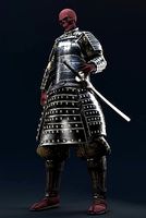 Samurai Cloth