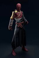 Samurai Cloth