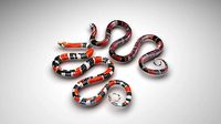 Snakes