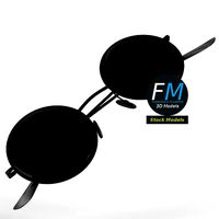 Sunglasses round