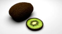 Kiwi Fruit With Fur
