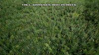 Tall Grasses And Plants Unreal Asset