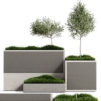 Plants collection 773