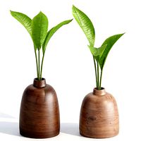 Indoor plants collection vol 132