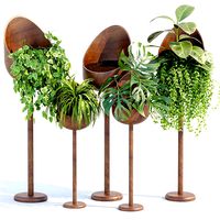 Indoor plants collection vol 132