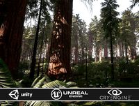 Redwood forest for game ready